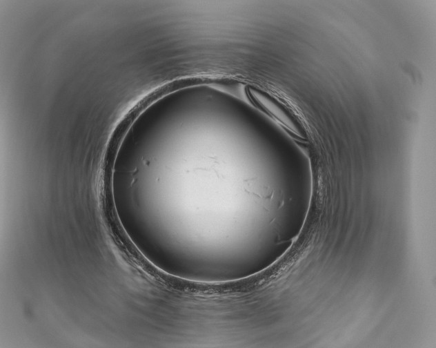 X0000111010532200906261521