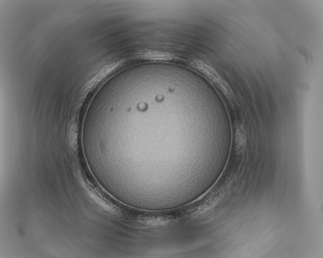 X0000111010533200906261521