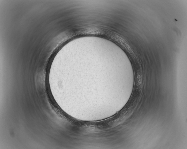 X0000111010534200906261521