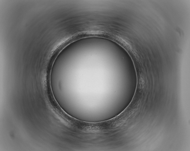 X0000111010535200906261521