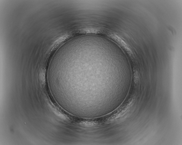 X0000111010537200906261521
