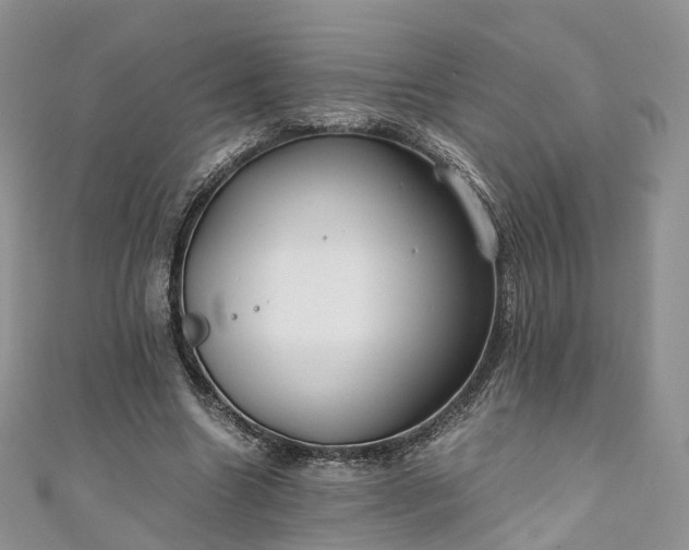 X0000111010538200906261521