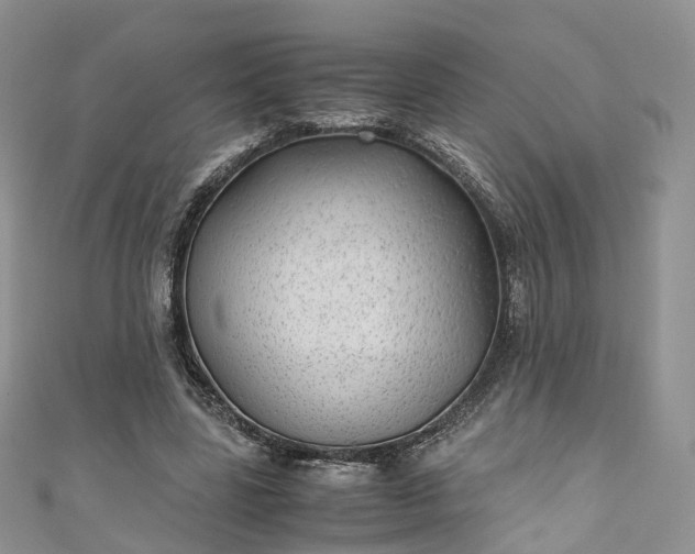 X0000111010539200906261521