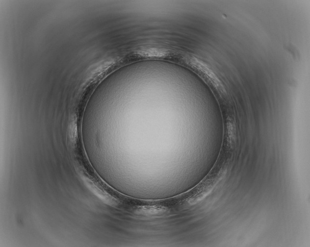 X0000111010541200906261521