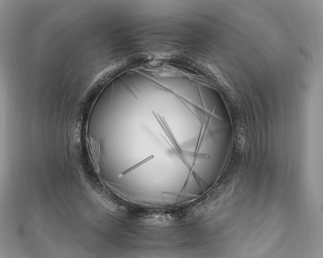 X0000111010543200906261521