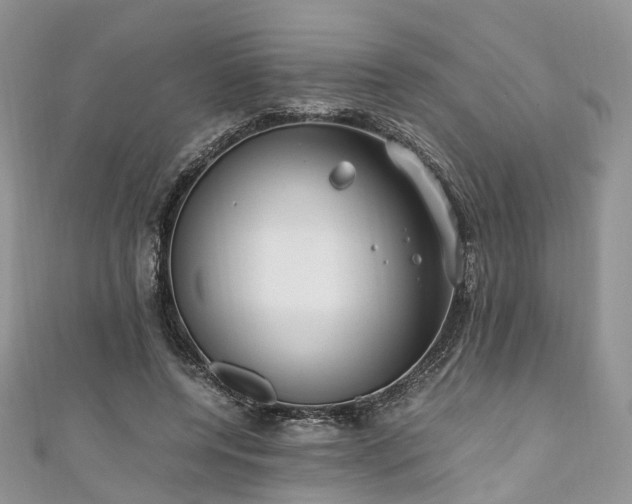 X0000111010544200906261521