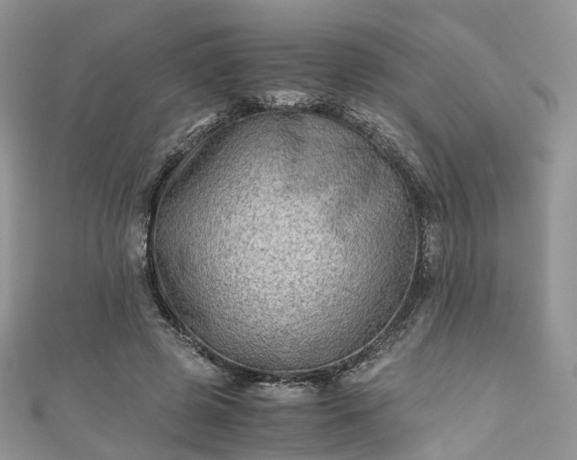 X0000111010545200906261521