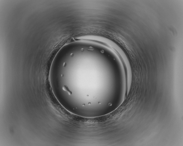 X0000111010546200906261521