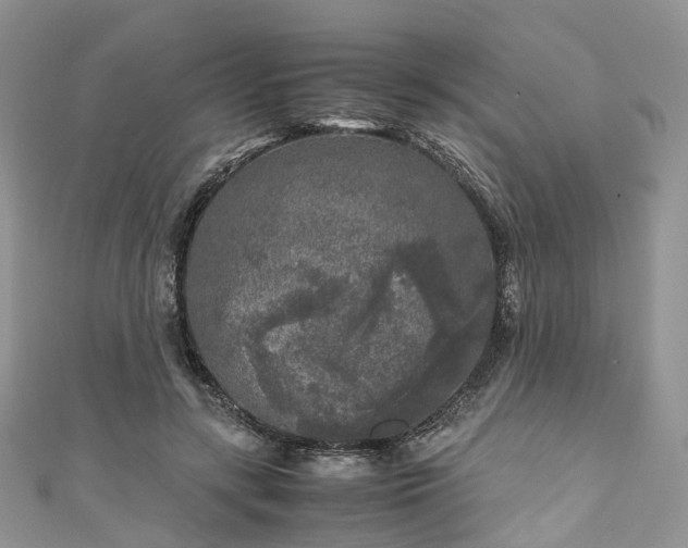 X0000111010547200906261521