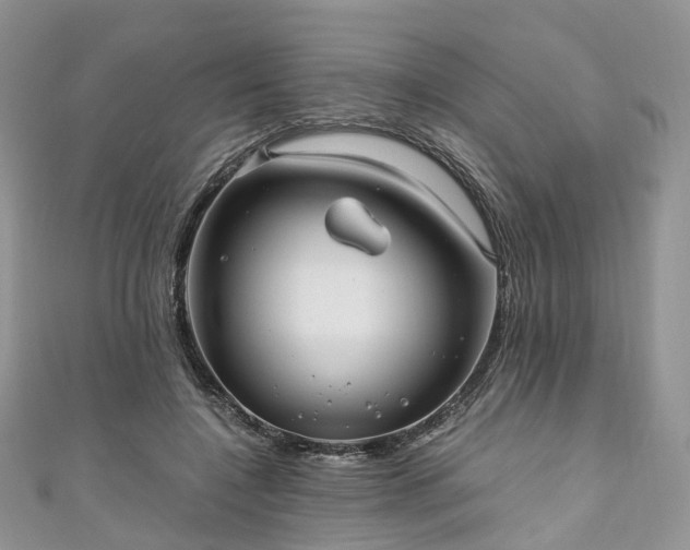 X0000111010548200906261521