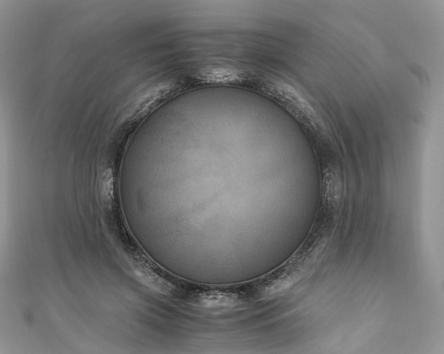X0000111010549200906261521