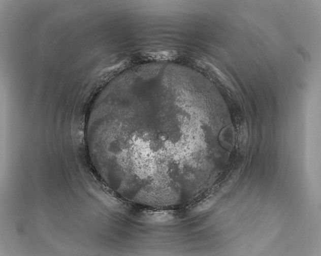 X0000111010553200906261521