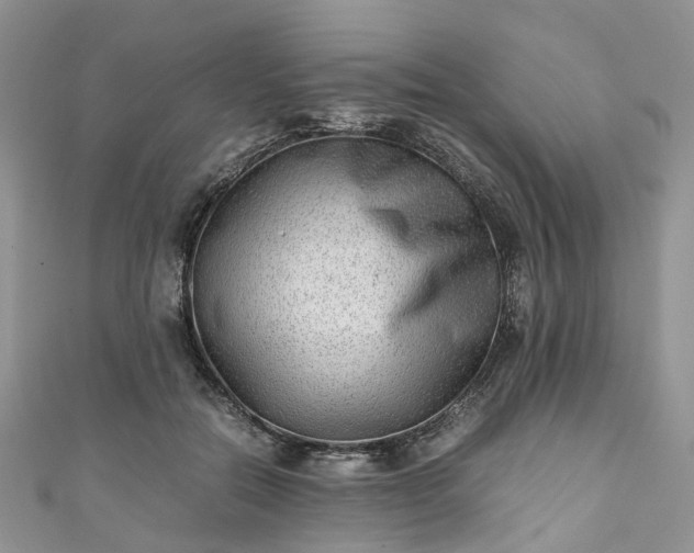 X0000111010554200906261521