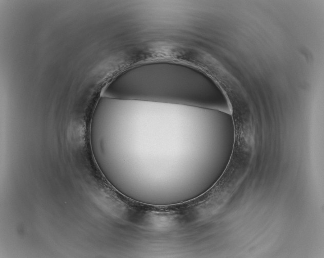 X0000111010556200906261521