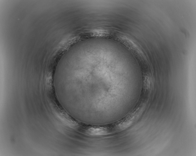 X0000111010557200906261521