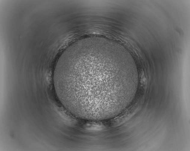 X0000111010559200906261521