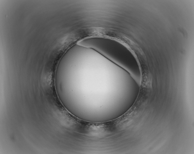X0000111010560200906261521