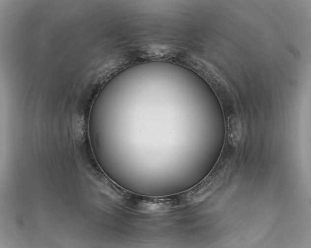 X0000111010563200906261522