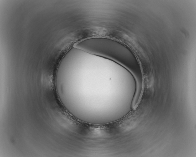 X0000111010564200906261522