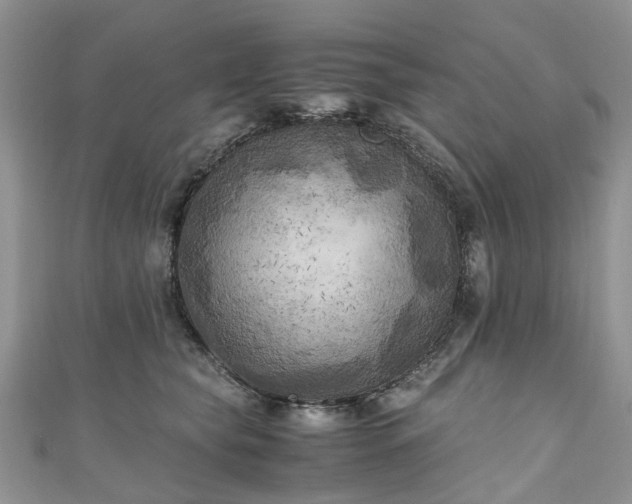 X0000111010565200906261522