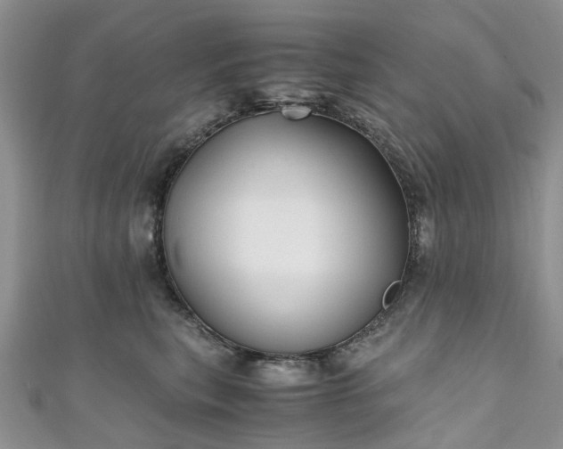 X0000111010567200906261522