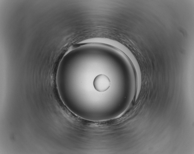 X0000111010568200906261522