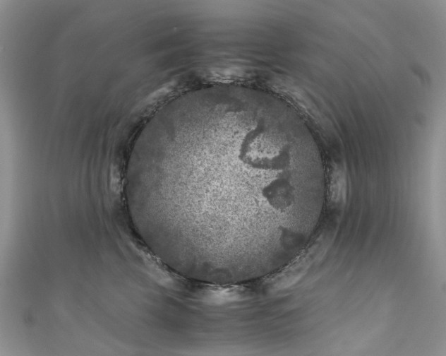 X0000111010569200906261522