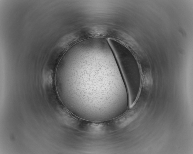 X0000111010570200906261522