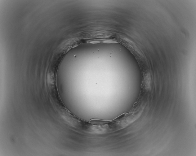X0000111010571200906261522