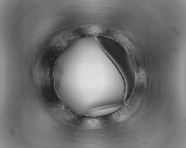 X0000111010572200906261522
