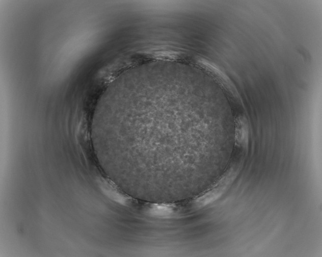 X0000111010573200906261522