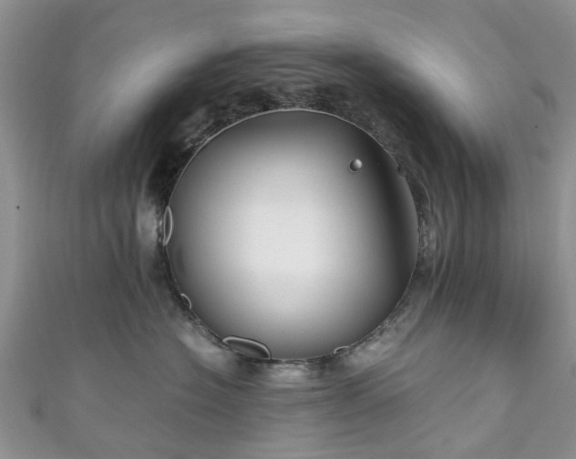 X0000111010574200906261522