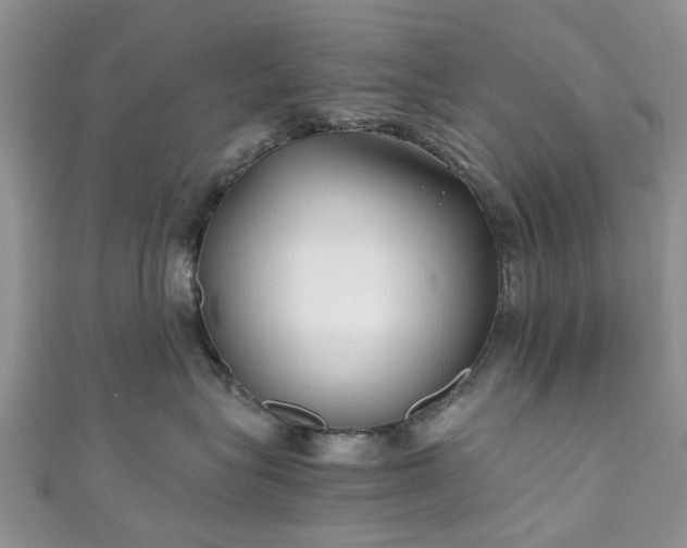 X0000111010575200906261522