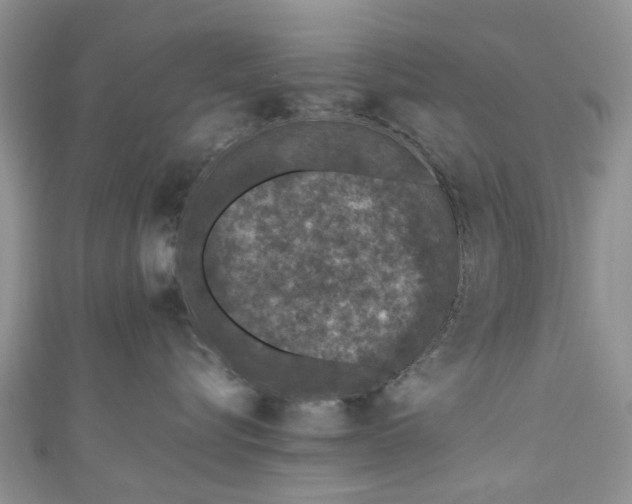 X0000111010576200906261522