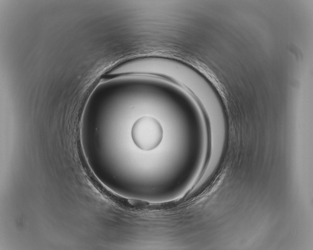 X0000111010577200906261521
