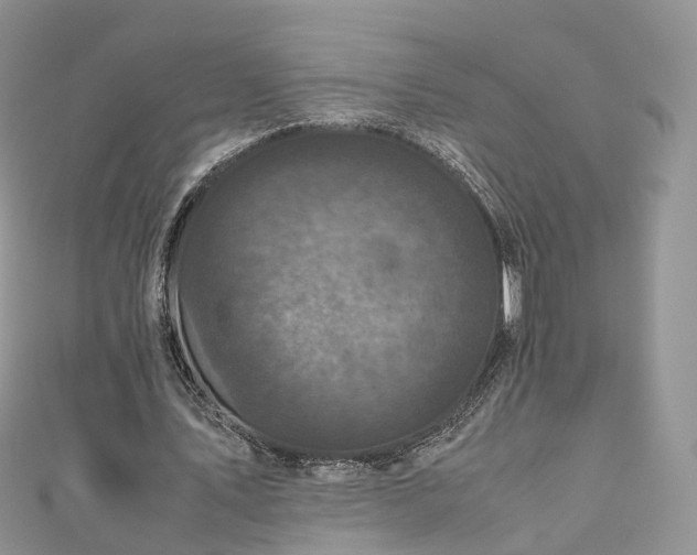 X0000111010579200906261521