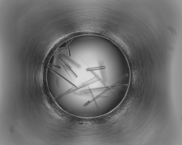 X0000111010580200906261521