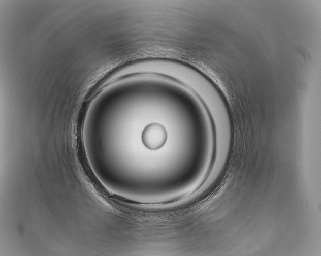 X0000111010581200906261521