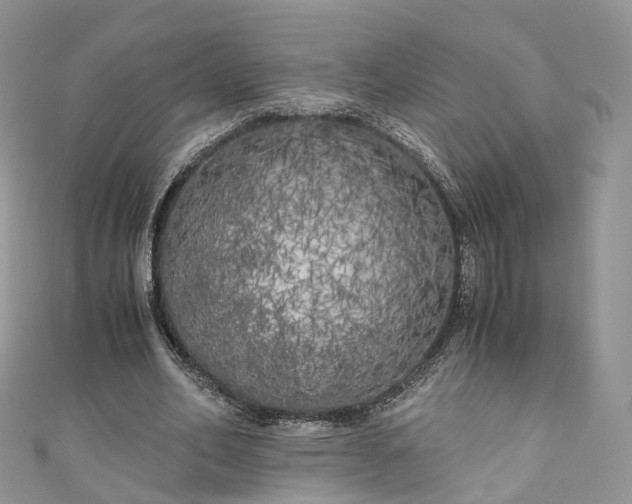 X0000111010582200906261521