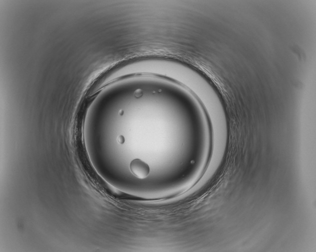 X0000111010583200906261521