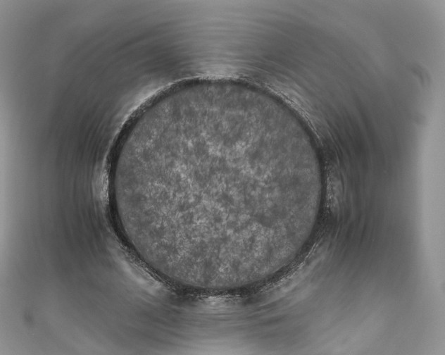 X0000111010584200906261521