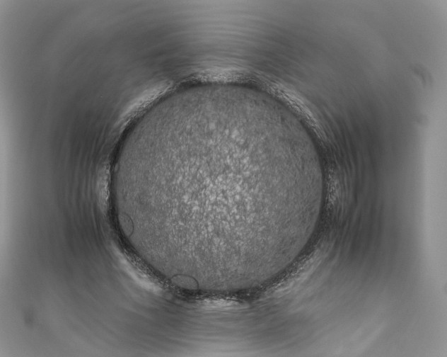 X0000111010586200906261521