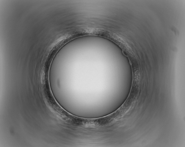 X0000111010587200906261521