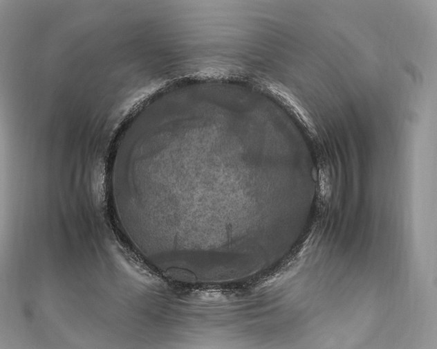 X0000111010588200906261521