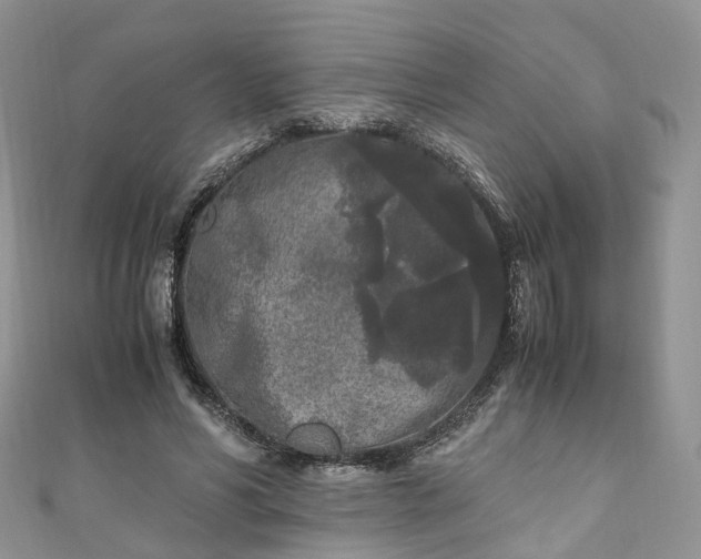 X0000111010590200906261521