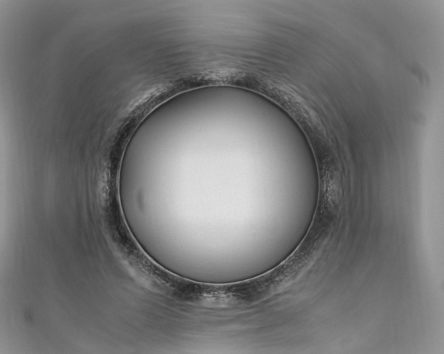 X0000111010591200906261521