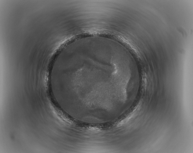 X0000111010592200906261521