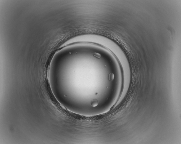 X0000111010593200906261521