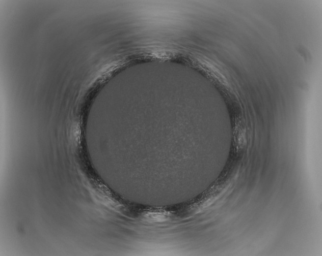 X0000111010595200906261521