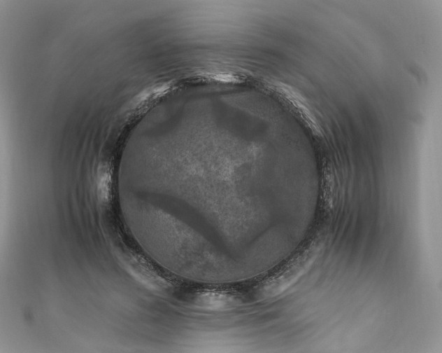 X0000111010596200906261521